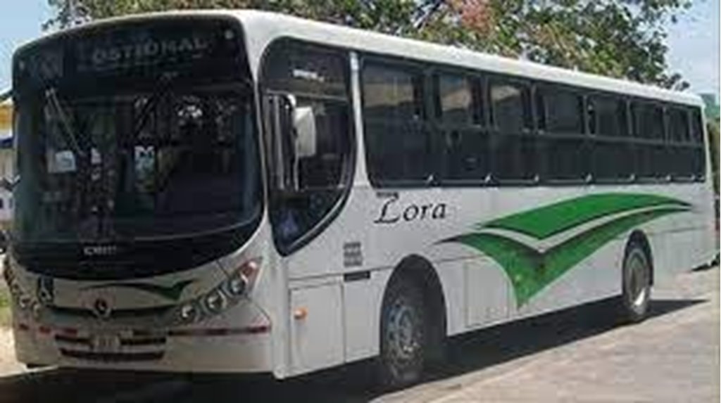 Bus Services from Santa Cruz to San Juanillo