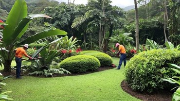 Landscaping and Gardening Business
