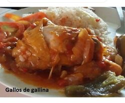 Pequeños Talentos, Grandes Partidos