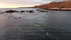 Tour de Snorkeling en Lancha para hasta 9 Personas
