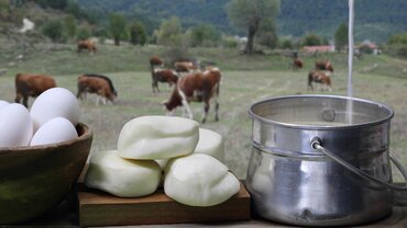 Productor de Queso y Lácteos
